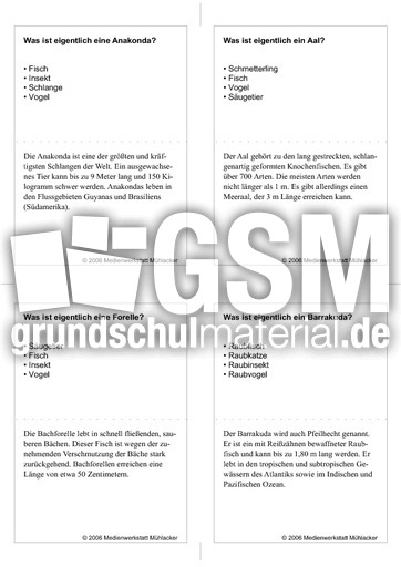 Quiz-Karten-Tiernamen 31.pdf